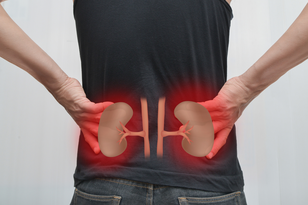 kidney failure and alport